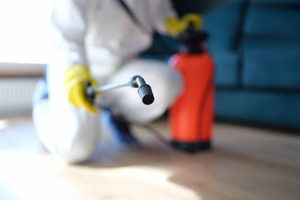 Mold Odor Removal Services in Lynchburg, OH